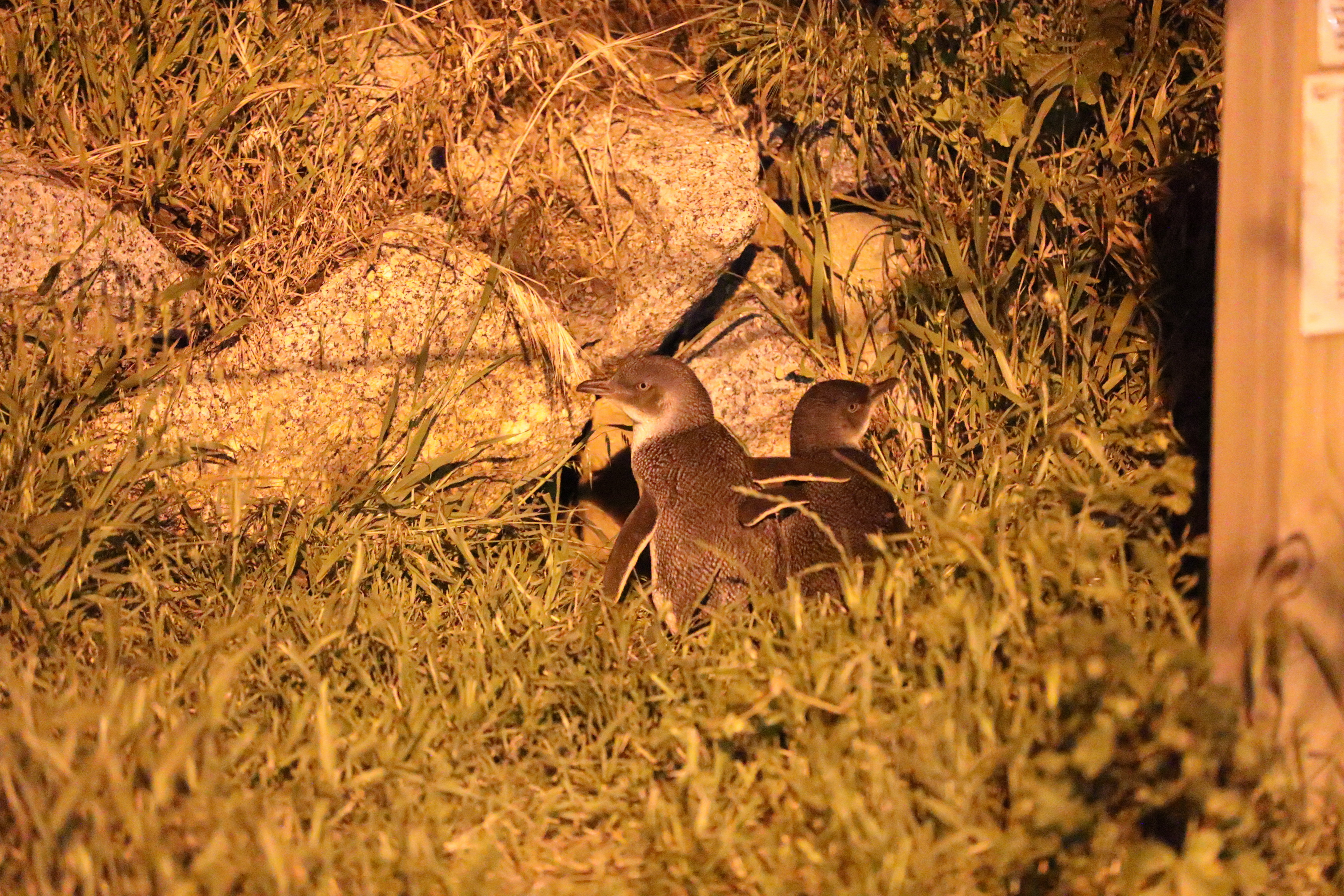 2019 09 28 19 28 52 Canon EOS 5D Mark IV 0057